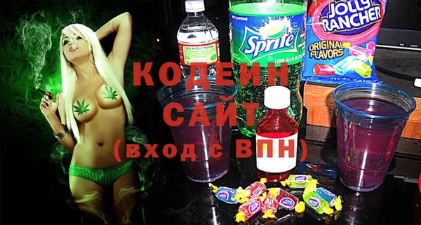 шишки Абаза