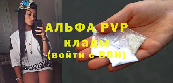 шишки Абаза