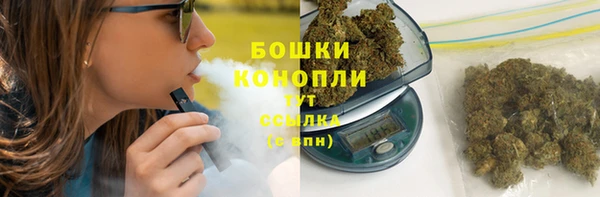 шишки Абаза