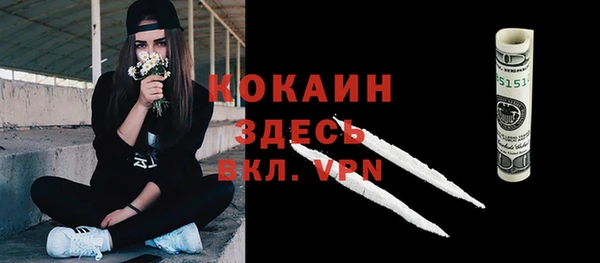 шишки Абаза
