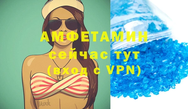 шишки Абаза