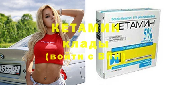 шишки Абаза
